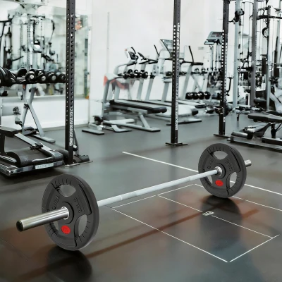 SPORTNOW Disques Olympiques 2x10kg Ø50mm Triple Prise Noir