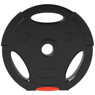 SPORTNOW Kit Pesi con 2 Dischi da 7.5 kg e 2 Dischi da 5 kg Nero