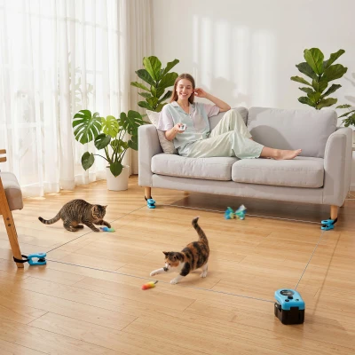 PawHut Interactive Cat Toy Adjustable Speed DIY Track Mouse Sound