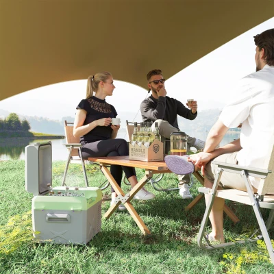Outsunny 12 Liter Kompressor Kühlbox elektrische Kühlbox mit Anschluss Kühlhaltefunktion Grau+Grün