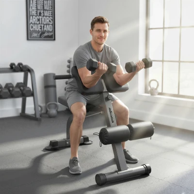 SPORTNOW Banco Romano Regulable y Plegable Multifunción Capacidad 150 kg Plateado