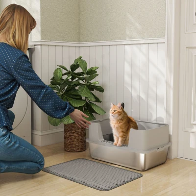PawHut Katzentoilette Edelstahl Offene Katzenklo mit Schaufel hohem Rand Matte für Katzen bis 7 kg 60,2 x 40,2 x 29,5 cm, Grau
