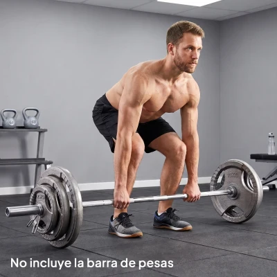 HOMCOM Juego de 6 Discos de Pesas de Acero Total de 35 kg 2x10 kg 2x5 kg 2x2,5 kg Discos Olímpicos con Orificio Central de Ø54 mm para Entrenamiento en Casa Gimnasio Plata