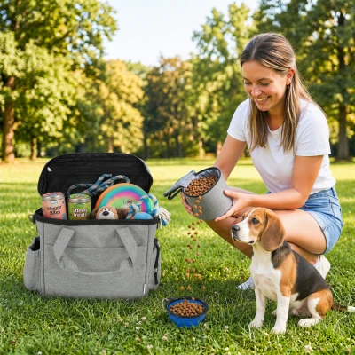 PawHut Hundebox Transportbox Hund mit mehreren Fächern 2 Futterbehältern zusammenklappbar Silikonschüssel 38x17x35 cm Hellgrau