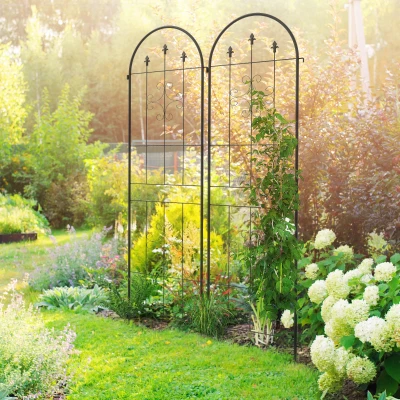 Outsunny Juego de 2 Enrejados de Jardín Soportes para Enredaderas de Acero para Flores Plantas en Patio 50x180 cm Negro