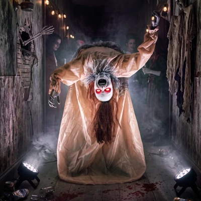 HOMCOM Halloween Animatronic Ghost Sound-Activated Glowing Eyes