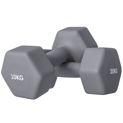 SPORTNOW Set Manubri 10 kg in Metallo Plastica 26x12x12 cm Grigio