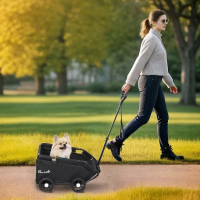 PawHut hondenwagen, inklapbare hondenbuggy voor dwerghonden tot 4 kg, opvouwbare kattenbuggy met duwstang, wasbaar kussen, veiligheidslijnen, opbergzak, 4 wielen, Zwart
