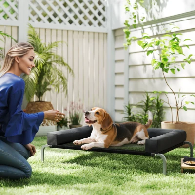 PawHut Elevated Dog Bed with Bolsters Portable Black