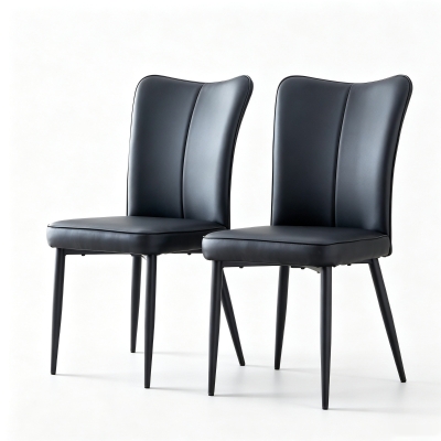 Lot de 2 chaises de salle à manger, Noir