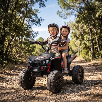 AIYAPLAY 2-Seater Electric Quad Bike Ride On Toy 24V Black