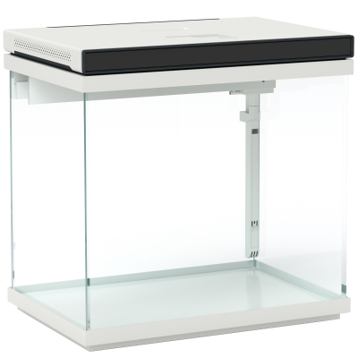 PawHut 26 Liter Aquarium mit Filter, LED-Beleuchtung, Wasserpumpe, für verschiedene Fischarten, ca. 38 x 26 x 38 cm