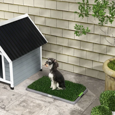 PawHut Hondentoilet met kunstgras, drainagegaten, lekvrij, 67x41x3,5cm, Groen