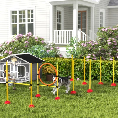 PawHut 4-Delige Agility-Set voor Honden met Vulbare Basis voor Training