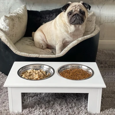 PawHut Raised Dog Feeding Bowls Stand Stainless Steel White 44x24cm