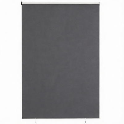 Outsunny Außenrollo 160 x 240 cm Ausziehbar Balkonrollo mit Perlenzug UPF30+ Senkrechtmarkise Dunkelgrau