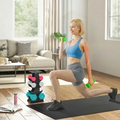 SPORTNOW Conjunto de Halteres 2x1kg 2x2kg 2x3kg 2x4kg com Suporte de Arrumação para Exercício e Treino Multicolor