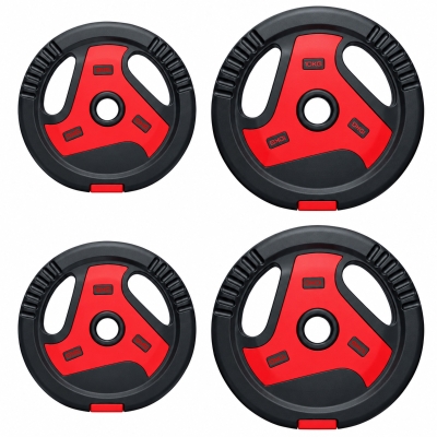 SPORTNOW Disques 10/5kg Lot de 4 Poignées Noir Rouge