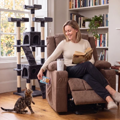 HOMCOM Dual Motor Recliner Chair Massage Heat Lift Brown
