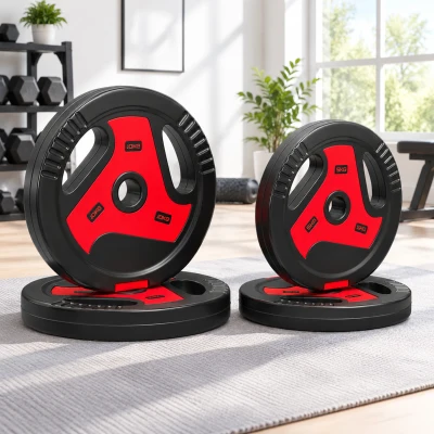 SPORTNOW Disques 10/5kg Lot de 4 Poignées Noir Rouge
