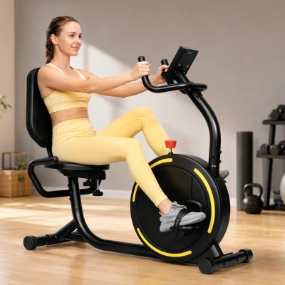 SPORTNOW Recumbent Exercise Bike Magnetic Resistance Home Black