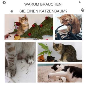 krabpaal kattenboom met kattengrot trap zacht kussen E1 MDF sisal lichtgrijs