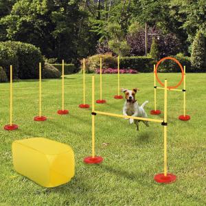 Pawhut® Zestaw Agility do Treningu Psa Bieg z Przeszkodami Poliester Żółty