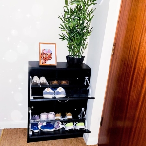 HOMCOM Shoe Cabinet, 60Lx24Dx80H cm-Black/White