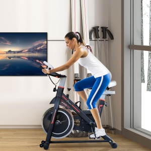 HOMCOM Belt-Driven Exercise Bike Home Fitness Trainer W/ Adjustable Resistance, LCD Display-Black