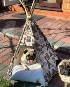 PawHut Portable Pet Teepee, 67Lx65Wx78H cm-Beige
