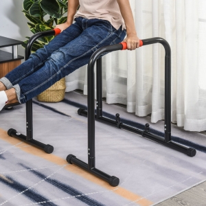 HOMCOM Steel Multifunctional Dip Stand Black