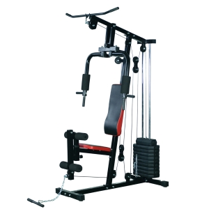 Homcom Panca per Allenamento Casa Palestra Multifunzione Professionale Addominali Gambe Pettorali in Acciaio Nero 125x106x205cm