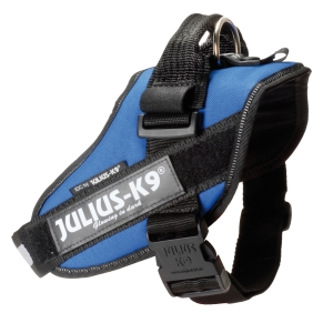 Julius K9 Power Pettorina, Misura 0, Colore Blu