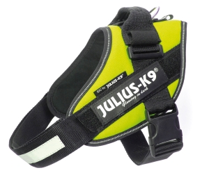 Julius K9 Power Pettorina, Misura 0, Colore Giallo