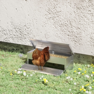 PawHut Hranitoare pentru Gaini de 8,5 litri pentru 5 Pui, Rezistenta la Ploaie, cu Capac Automat si Pedala, 56x37x18,5 cm, Argintie