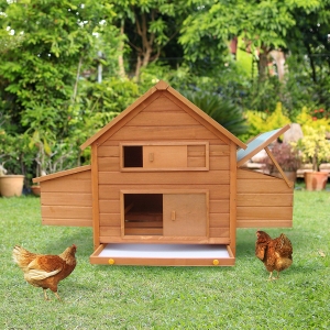 PawHut Pollaio da Giardino Gabbia per Galline in Abete, Legno e Verde, 160x98.5x107cm