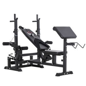 HOMCOM Banco de Pesos Ajustáveis Banco de Musculação Multifuncional com Encosto Reclinável para Treinamento de Corpo Inteiro em Casa 210x110x103-123cm Preto