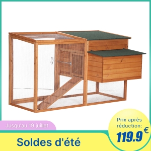 Poulailler cottage multi-équipement bois sapin lasuré