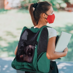 PawHut Trolley Rucsac pentru Animale de Companie Verde