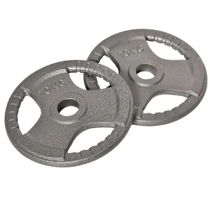 HOMCOM Olympic Weight Plates Set, 2 PCS Grip Plate Sets for Strength Training, Crossfit, Weightlifting, Home Gym Equipment