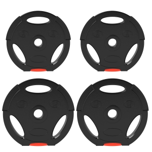 SPORTNOW Conjunto de Discos de Pesos de 4 Peças 2x7,5 kg e 2x5 kg com Orifícios de 2,5 cm para Treino Fitness Preto