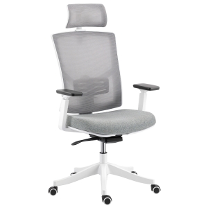 HOMCOM Scaun de Birou Ergonomic și Respirabil cu Suport Lombar Dinamic 4D, 64.5x62.5x112-122 cm, Multicolor