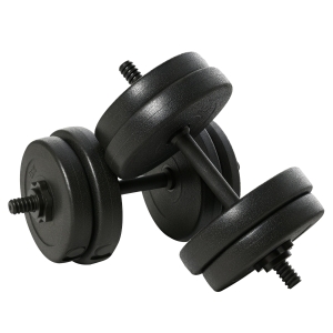 HOMCOM Set Manubri Palestra 20kg (4x2.5kg, 4x2kg) con 8 Dischi da 2kg, 2.5kg, Ø25mm, per Allenamento a Casa