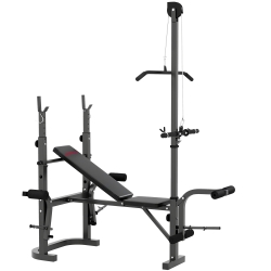 SPORTNOW Banco de Musculação Multifuncional Inclinável Banco de Pesos com Suporte para Barra Ajustável Extensão de Pernas  106x155x202 cm Preto