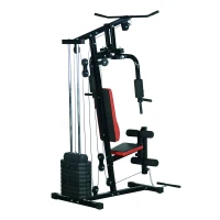 HOMCOM fitness-station krachtstation multigym fitnesscentrum fitnessapparaat pull-down leg curl(m-5)