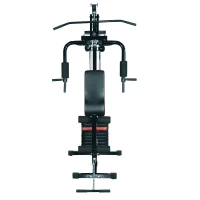 HOMCOM fitness-station krachtstation multigym fitnesscentrum fitnessapparaat pull-down leg curl(m-4)
