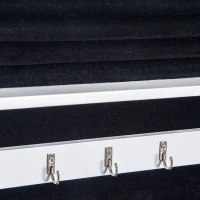 HOMCOM 2-in-1 sieradenkast wandspiegel spiegelkast sieraden ladekast spiegel(m-10)