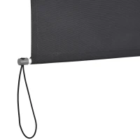 Verticale luifel aluminium balkonzonwering met handslinger donkergrijs 160 x 250 cm(m-10)