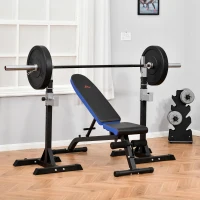HOMCOM sit-ups buiktrainer met trainingskoorden trainingsbank voor thuis fitnessstudio multifunctioneel instelbaar & inklapbaar 110 kg draagvermogen staal zwart + blauw 142 x 46 x 50-132 cm(m-4)