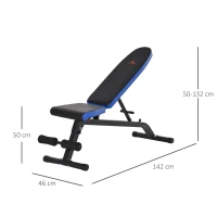 HOMCOM sit-ups buiktrainer met trainingskoorden trainingsbank voor thuis fitnessstudio multifunctioneel instelbaar & inklapbaar 110 kg draagvermogen staal zwart + blauw 142 x 46 x 50-132 cm(m-3)
